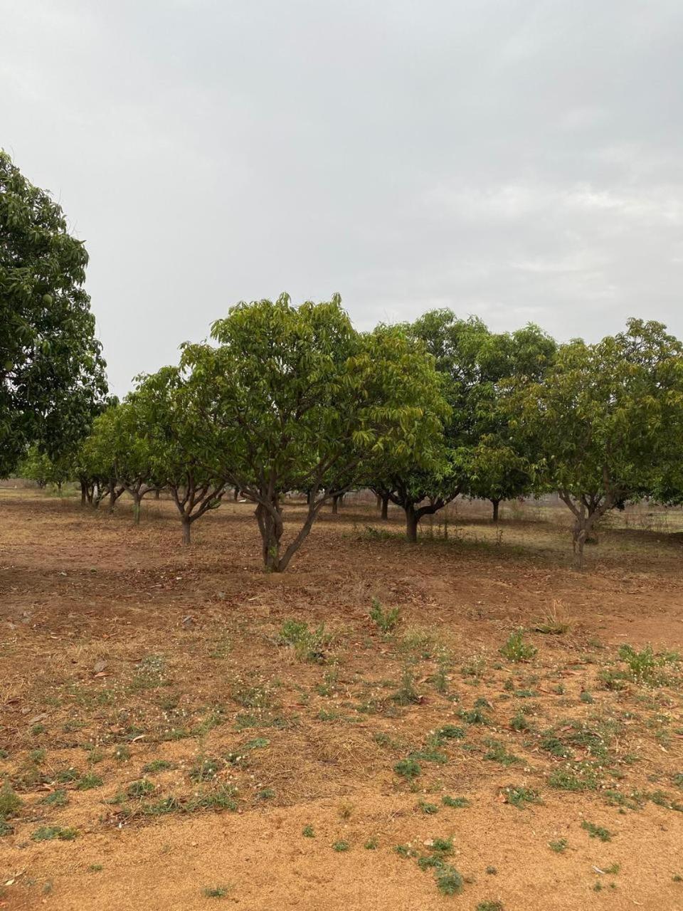 Pn Farm Villa حيدر أباد المظهر الخارجي الصورة