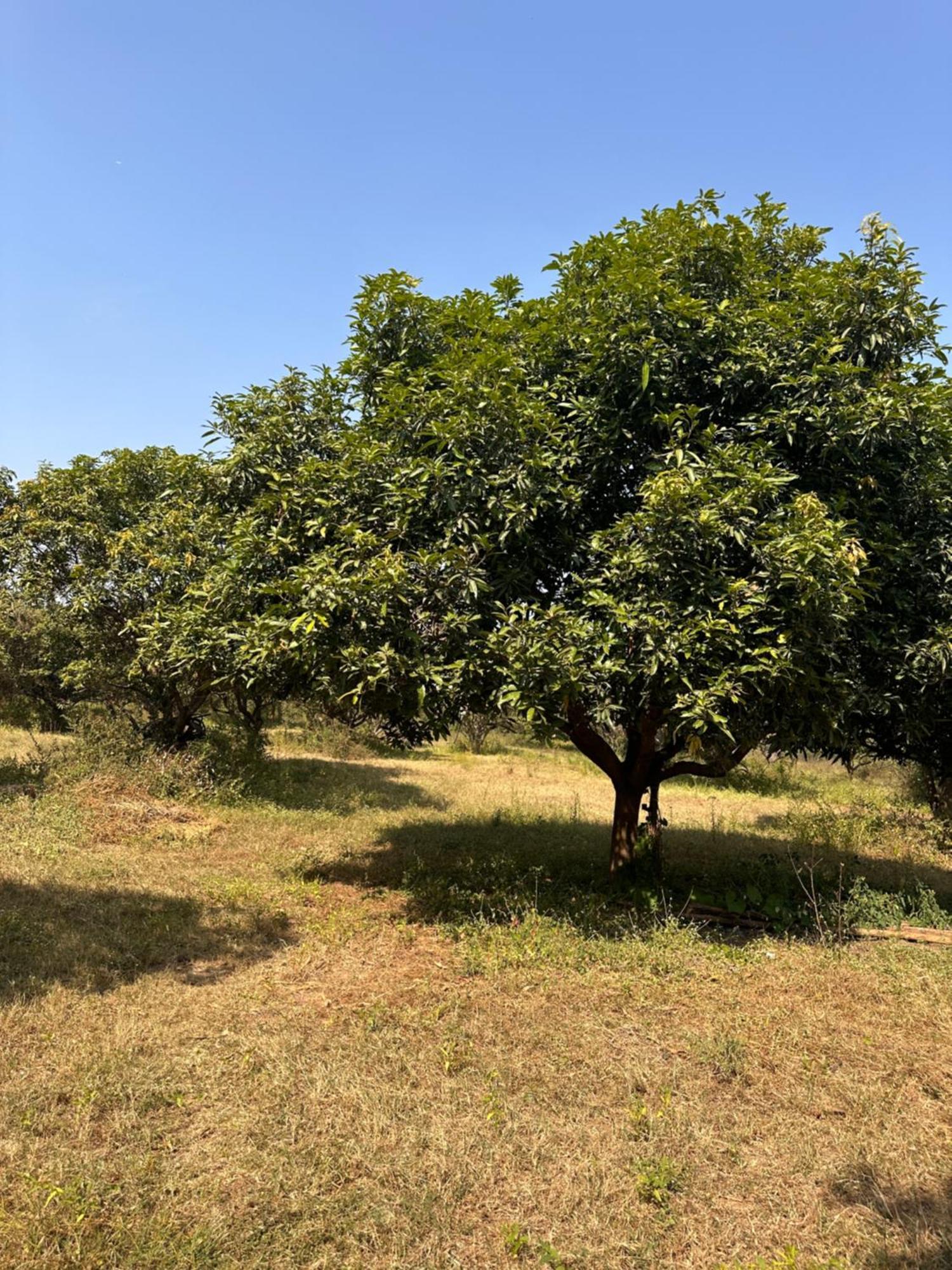 Pn Farm Villa حيدر أباد المظهر الخارجي الصورة